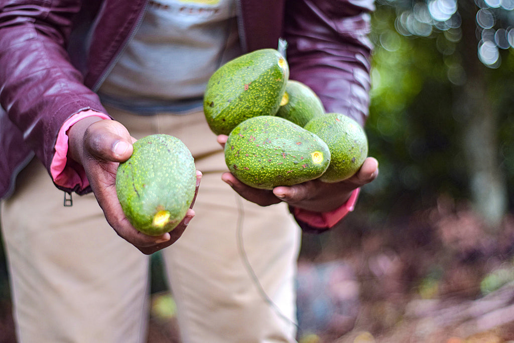 Certified Natural and Organic Cosmetics