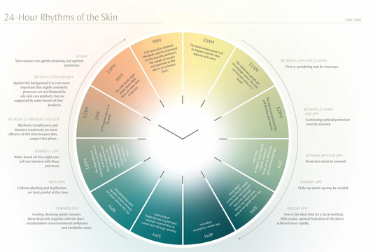 24 Hours Rhythm of the Skin