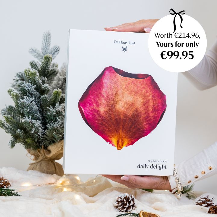 Christmas Advent Calendar