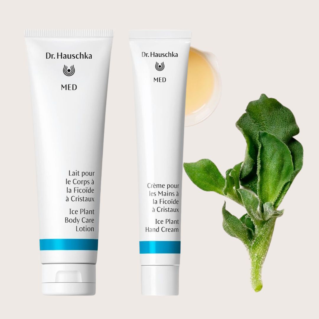 MED Ice Plant Body Care Duo