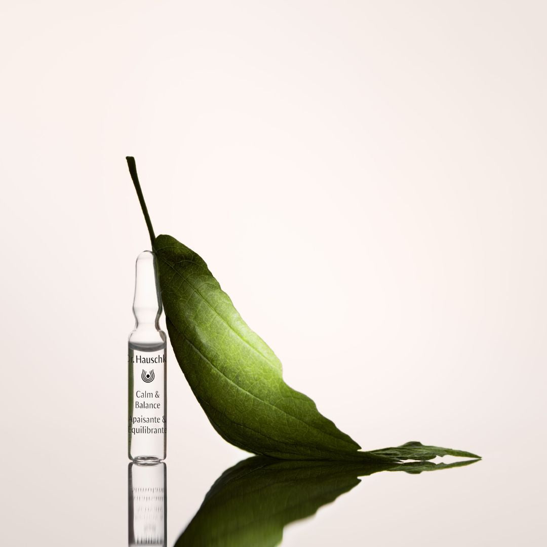 Calm & Balance Ampoules 28x2ml