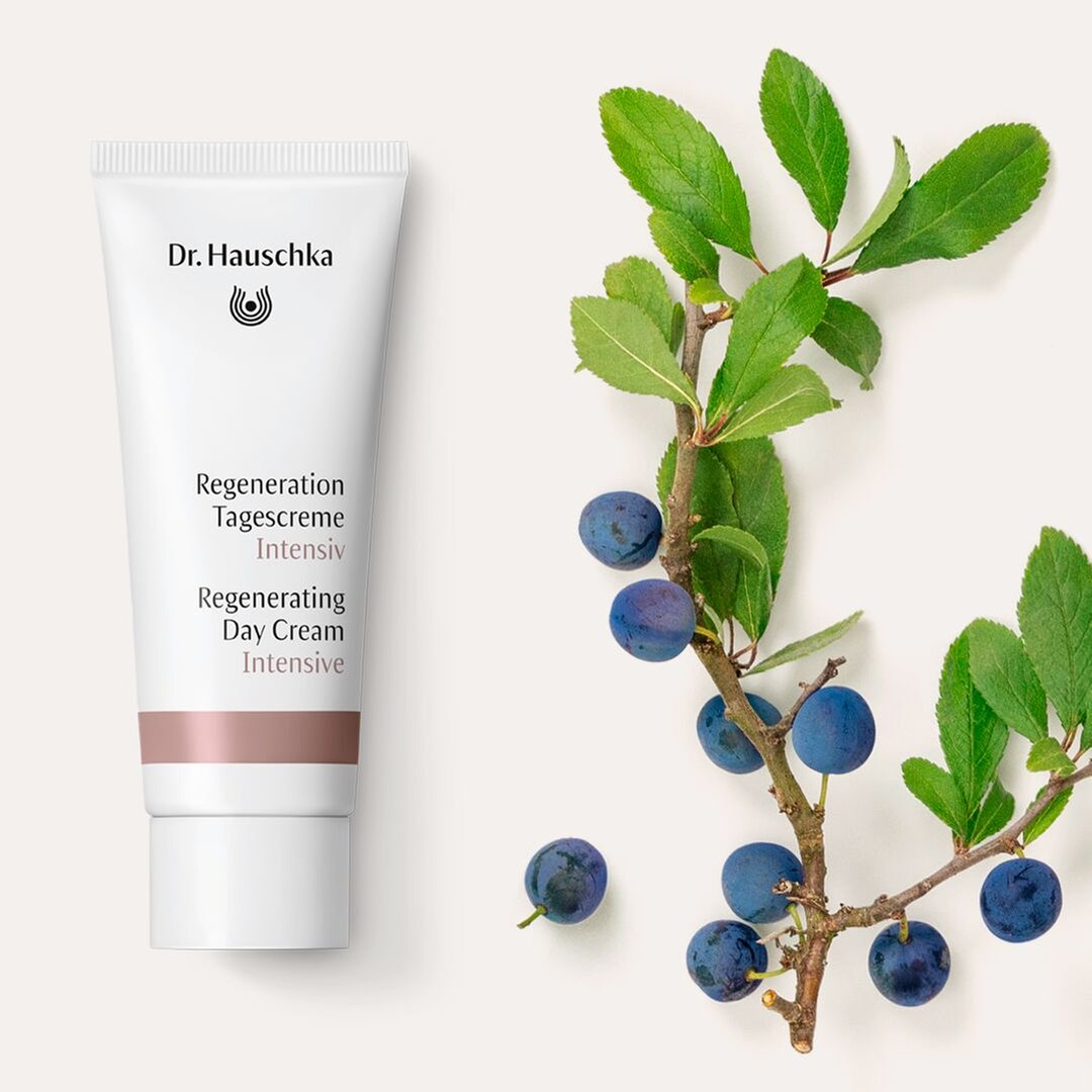 Dr. high quality Hauschka Regenerating Day Cream Intensive, rich facial skin care