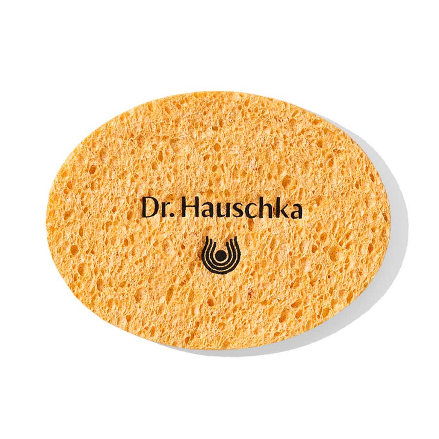 Cosmetic Sponge